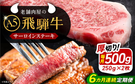 【6回定期便】 飛騨牛 サーロインステーキ (A5ランク) 1パック (250g×2枚) / 恵那市 / 岩島屋 [AUAJ028]