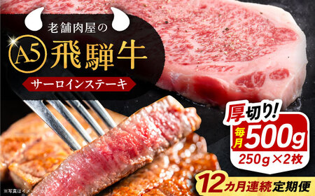 【12回定期便】 飛騨牛 サーロインステーキ (A5ランク) 1パック (250g×2枚) / 恵那市 / 岩島屋 [AUAJ029]