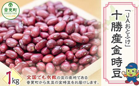 【令和7年産】金時豆1kg「JAおとふけ」【B105】
