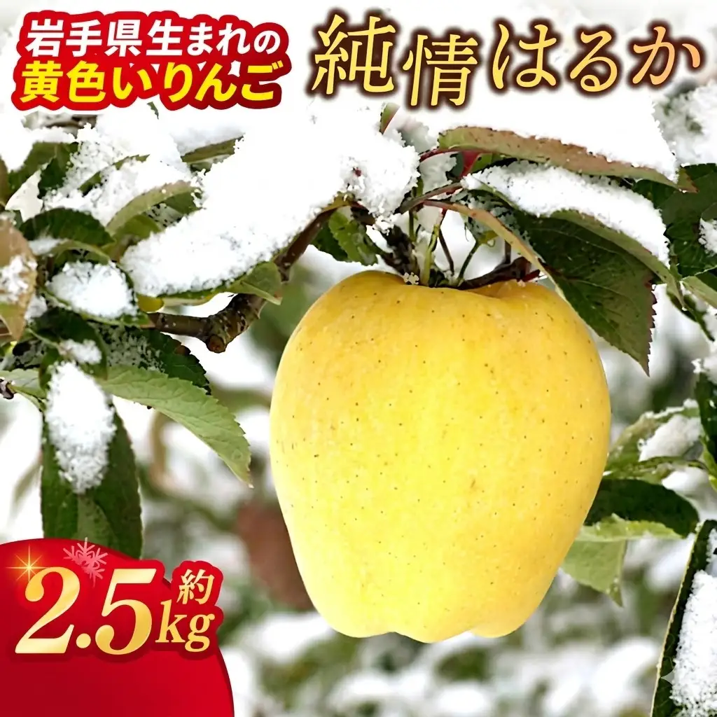 岩手県産 りんご 純情はるか 糖度14度以上 樹上完熟 自家用【冬恋研究会】(AI024)