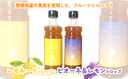 愛媛県産フルーツシロップ２本セット＜レモネード・ピオーネ＆レモン＞（簡易箱入り）｜シロップ 果実シロップ レモネード ぶどう 愛媛 シロップセット 【KK243】