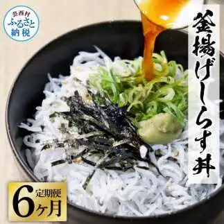 《6ヶ月定期便》高知県産釜揚げしらす×8パック 