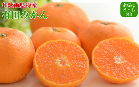 [秀品]和歌山有田みかん約5kg（S～Lサイズ混合）【TM95】【2026年11月中旬～2027年1月中旬頃順次発送】【TM92244-tecj1025A】
