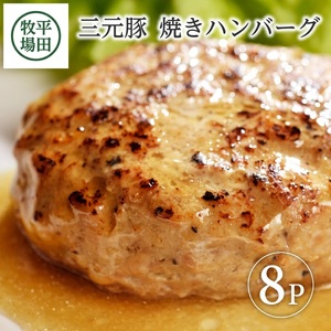 SA0715　平田牧場　日本の米育ち三元豚焼きハンバーグ　8個