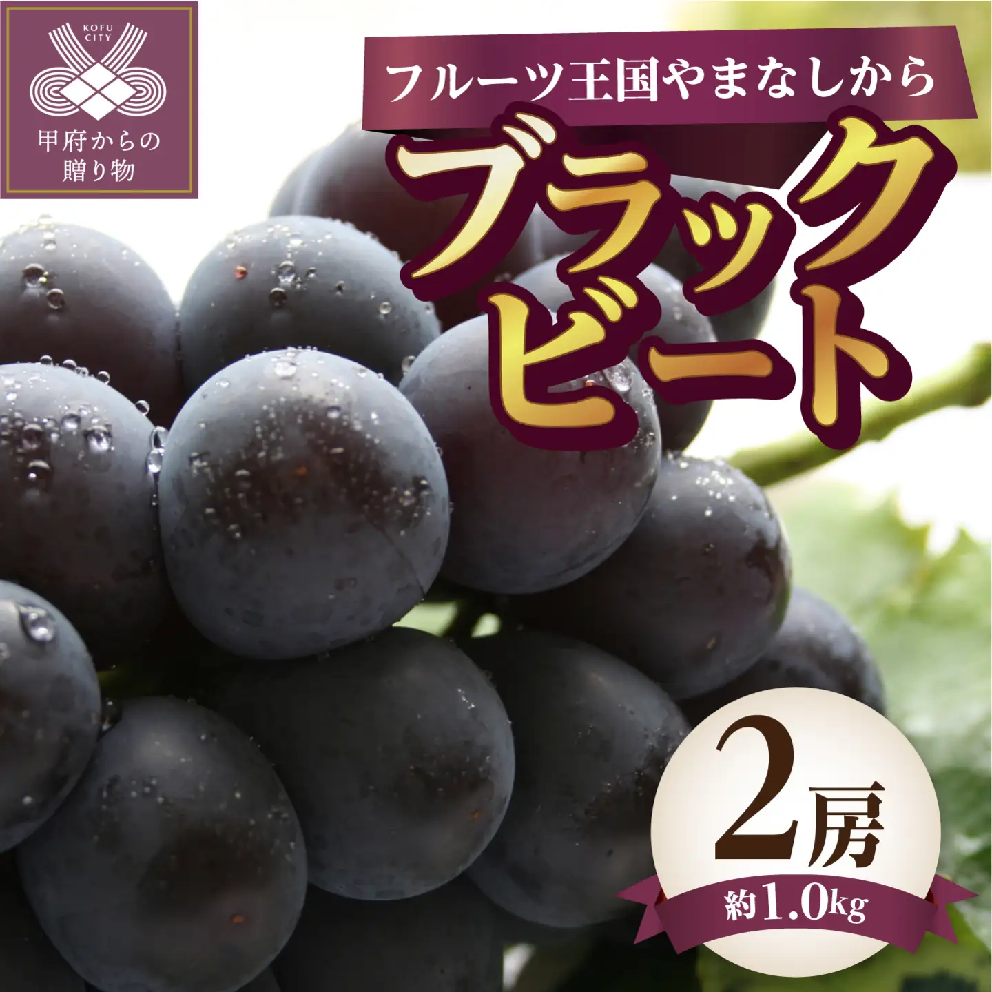 【ふるなび限定】〈2026年度配送分〉ブラックビート 2房（約1.0kg）　FN-Limited-SP