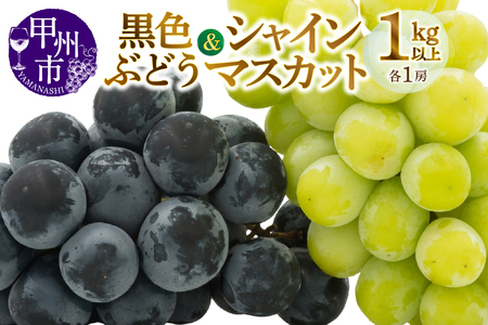 甲州市産旬の葡萄2房入り2色セット 1kg以上【2026年発送】（MG）B-493 シャインマスカット ぶどう フルーツ