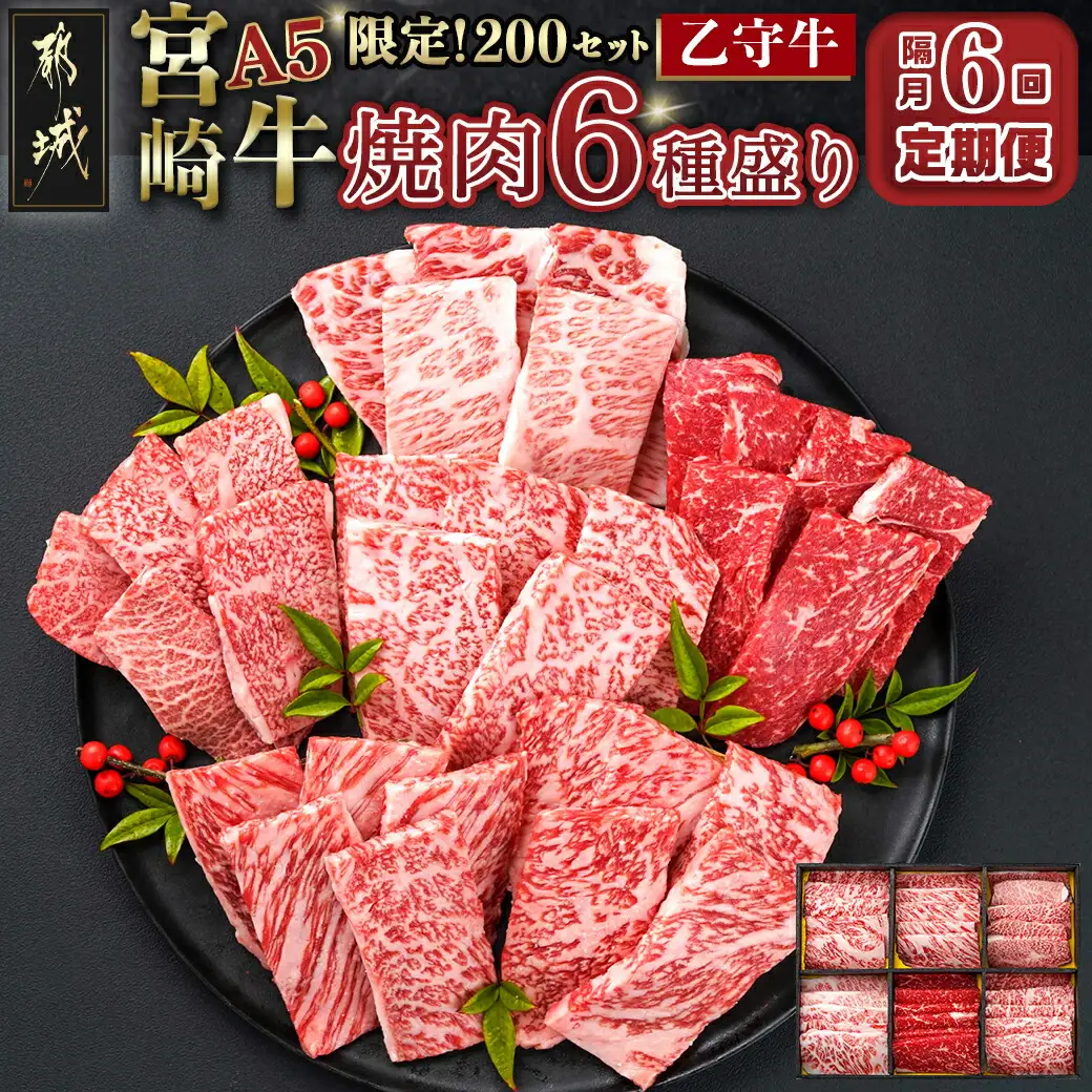 ≪限定200セット≫隔月6回お届け!【宮崎牛A5】焼肉6種盛り(乙守牛）_T192-6-6501_(都城市) 都城産宮崎牛 A5 焼肉6種盛 各100g ロース/肩ロース/ウデ/バラ/モモ(赤身)/モモ(霜降り) 隔月6回お届け