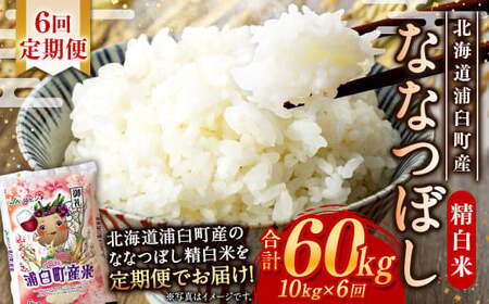 【6回定期便】＜令和8年産＞浦臼産ななつぼし 精白米 10kg（5kg×2袋） | 米 お米 こめ コメ ブランド米 白米 精米 ごはん ななつぼし 定期 定期便 北海道産 浦臼産 北海道 浦臼町 【2026年10月下旬より順次発送】