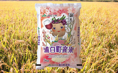 【3回定期便】＜令和8年産＞浦臼産ゆめぴりか 精白米 5kg×1袋 | 米 お米 こめ コメ ブランド米 白米 精米 ごはん ゆめぴりか 定期 定期便 北海道産 浦臼産 北海道 浦臼町 【2026年10月下旬より順次発送】