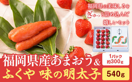 福岡県産あまおうギフト箱 & ふくや味の明太子 540g 南国フルーツ株式会社《2026年12月上旬-2027年3月末頃出荷》福岡県 鞍手町 あまおう いちご めんたいこ 明太子 セット 送料無料