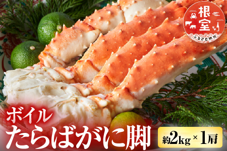ボイルたらばがに脚約2kg×1肩 D-14055