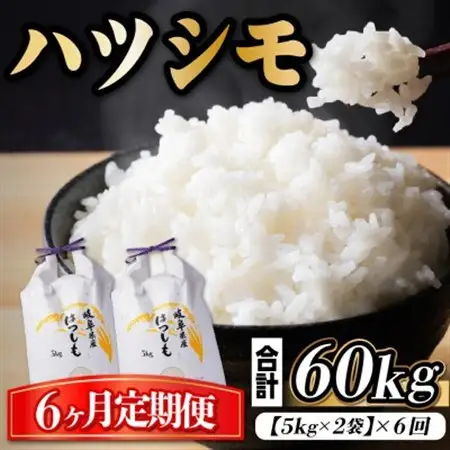 【毎月定期便】岐阜県産ハツシモ　10kg(精米5kg×2袋)全6回_ 精米 米   定期便 定期便  _【4059532】