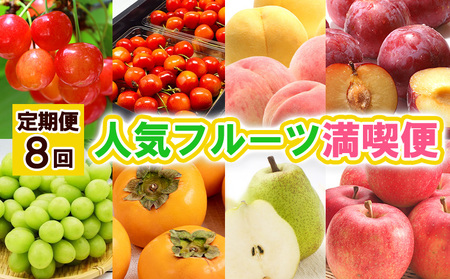 【定期便8回】人気フルーツ満喫便 【令和8年産先行予約】FS25-615 くだもの 果物 フルーツ 山形 山形県 山形市 2026年産