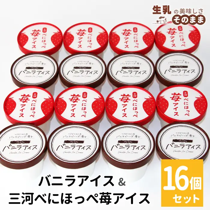 2026年7月1日～寄付金額変更★〈即日発送〉バニラアイス＆紅ほっぺいちごアイス 16個入り バニラアイス アイスクリーム アイス 苺 いちご  
