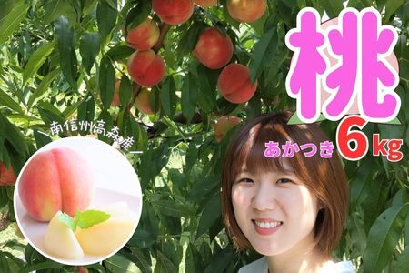 桃 あかつき 6kg＜7月下旬より発送＞