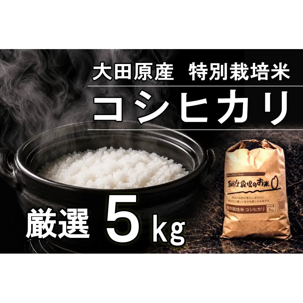 栃木県大田原産コシヒカリ 白米 5kg｜ 特別栽培米 メディア出演多数 栃木県農業大賞 知事賞 受賞農家 五月女農場 農家直送 産地直送 産直 栃木県 大田原市 こしひかり