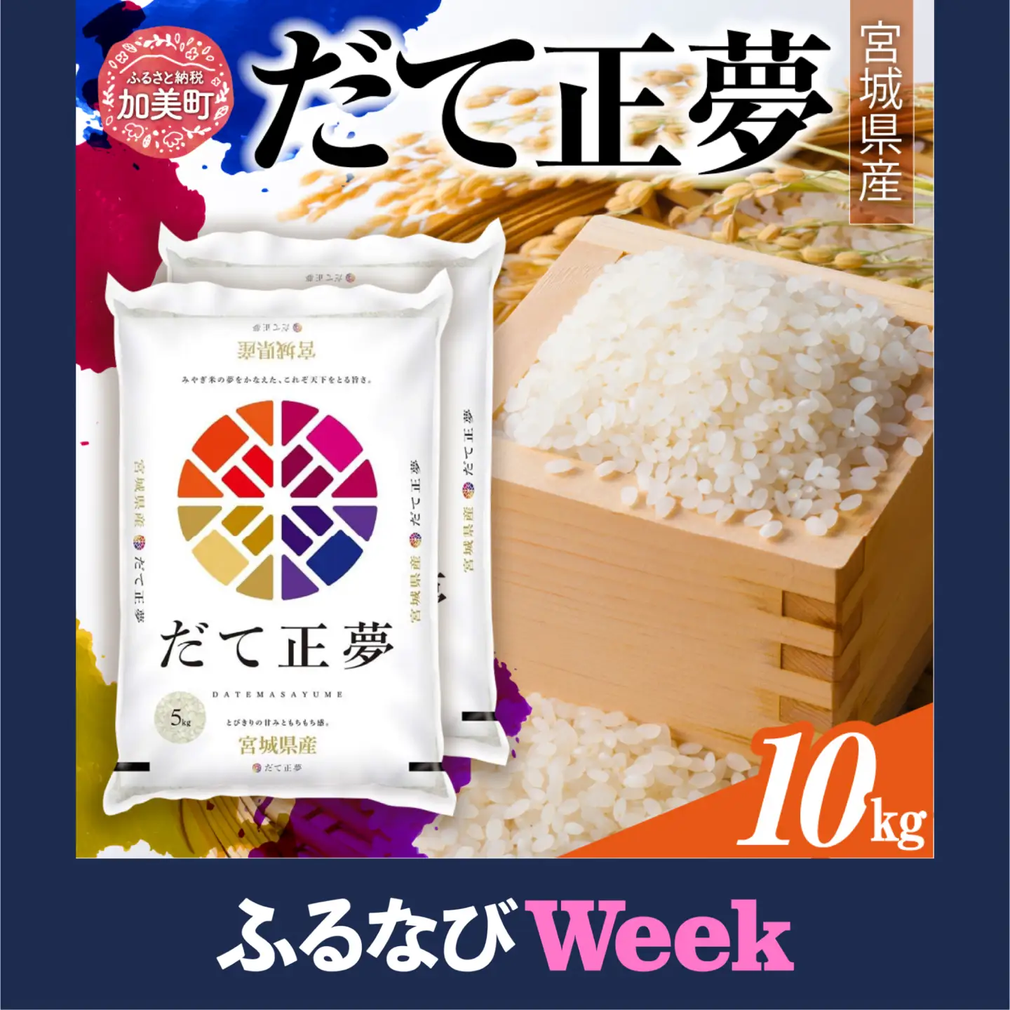 【ふるなびWEEK対象】 令和7年産 だて正夢 10kg