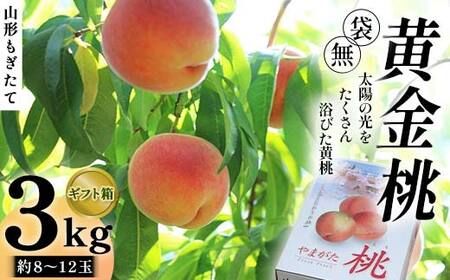 【先行受付 令和8年度発送】山形もぎたて『黄金桃』(無袋)約3kg ギフト箱入り FSY-2539