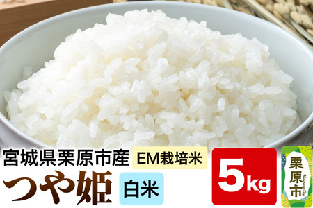 【EM栽培米・白米】宮城県栗原市産 つや姫 5kg