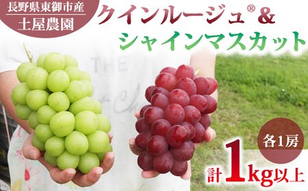 【先行受付2026年発送】農家直送！クイーンルージュ(R)とシャインマスカットのセット1kg以上（各1房）※2026年9月下旬～10月中旬順次発送【土屋農園】