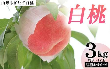 【先行受付 令和8年度発送】山形もぎたて白桃 品種おまかせ3kg FSY-2036