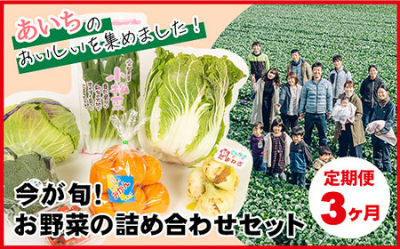 【3ヶ月定期便】今が旬！お野菜の詰め合わせセット