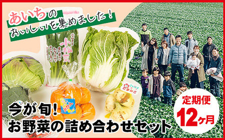 【12ヶ月定期便】今が旬！お野菜の詰め合わせセット