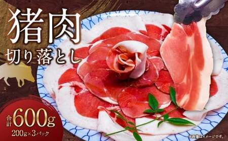 【7営業日以内発送】猪肉 切り落とし 200g×3 ／ 猪 イノシシ いのしし ジビエ 細切れ 長崎県 長崎市