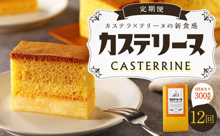 【全12回定期便】長崎カステリーヌ 1本 ／ タナカヤ カステラ かすてら スイーツ デザート お菓子 菓子 長崎県 長崎市