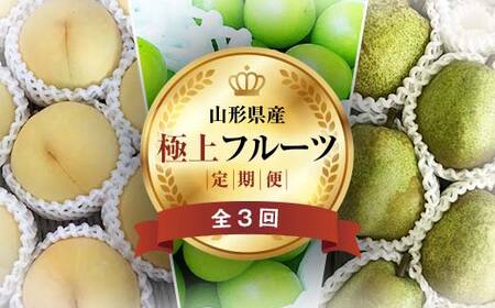 《2026年先行予約》 山形県 至高のフルーツ！ 山形県極上フルーツ定期便 全3回 FSY-2456