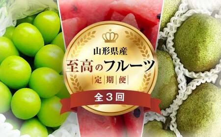 《2026年先行予約》 山形県 至高のフルーツ！ 山形県旬のフルーツ定期便 全3回 FSY-2457