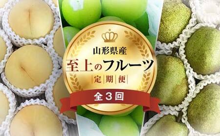 《2026年先行予約》 山形県 至高のフルーツ！ 山形県至上のフルーツ定期便 全3回 FSY-2458