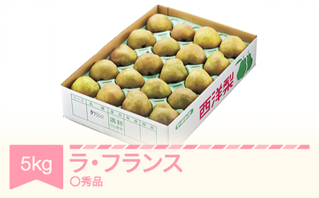 【先行予約】ラ・フランス 洋梨 ラフランス ◯秀品 約5kg 2026年産 令和8年産 果物 山形県産 ※沖縄・離島への配送不可 sb-lamsx5