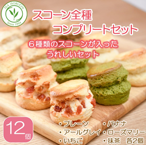 TIB-004 スコーン 6種 12個入 セット