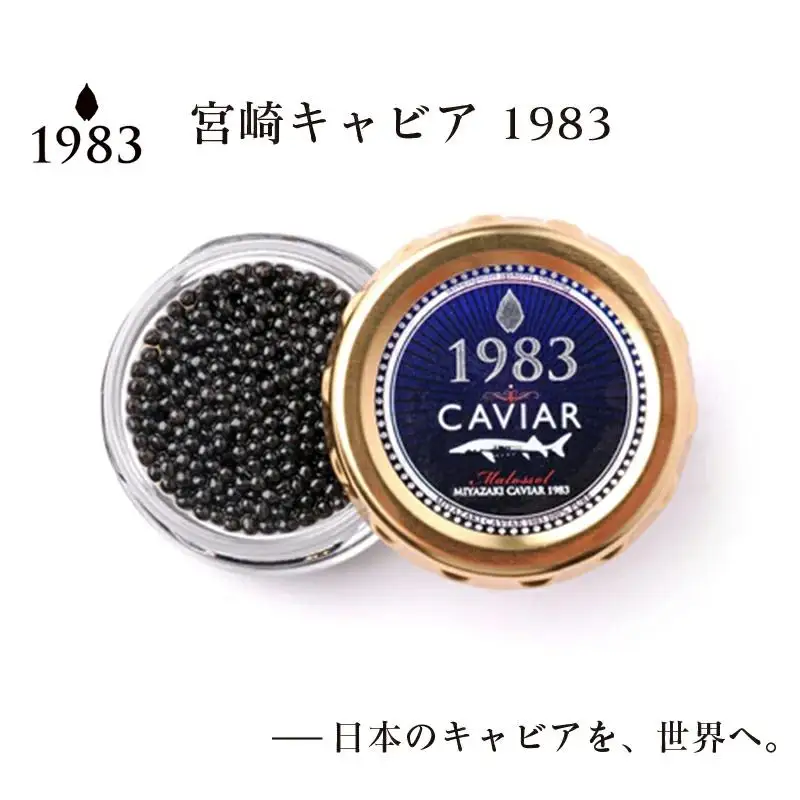 「ジャパンキャビア」MIYAZAKI CAVIAR 1983  20g 国産 宮崎キャビア＜25-15a＞魚介類 魚卵 三大珍味