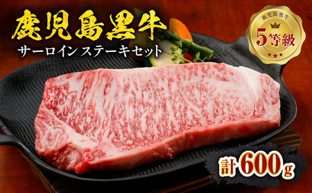 鹿児島黒牛 サーロイン ステーキ 計600g（ A-101 ） C069-002 肉 牛肉 冷凍