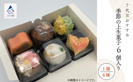 老舗和菓子屋《 7代目おすすめ》季節の上生菓子 6個入り