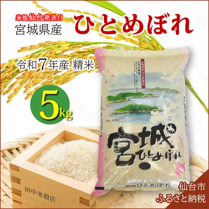 【ひとめぼれ】新米 令和7年度産 精米 5kg（5kg×1袋）宮城県産【米 お米 こめ コメ ご飯 ごはん】