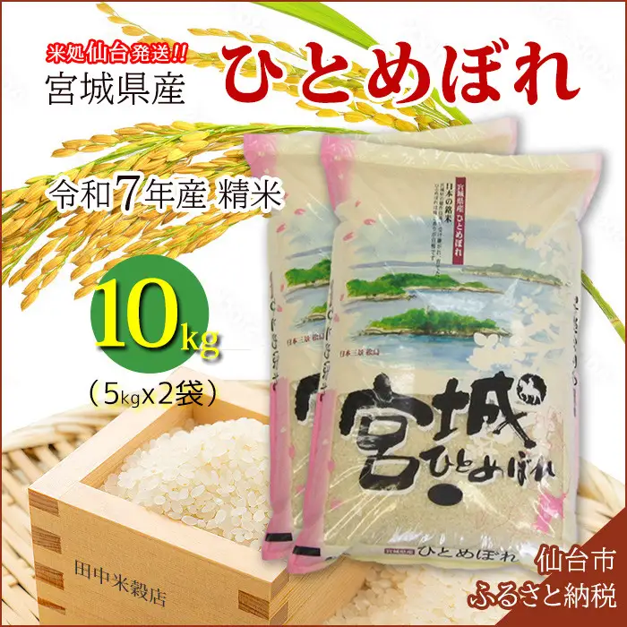 【ひとめぼれ】新米 令和7年度産 精米 10kg（5kg×2袋）宮城県産【米 お米 こめ コメ ご飯 ごはん】