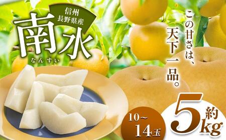【2026年先行予約】 長野県産 南水 約5kg （10～14玉）【9月下旬以降発送予定】