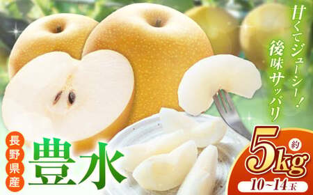 【先行予約】ジューシーで上品な甘さ！長野県産 豊水 約5kg （ 10 ～ 14 玉 ）【9月中旬頃～発送予定】
