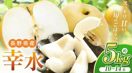 【2026年先行予約】爽やかな甘みとシャリ感！長野県産 幸水 約5kg（ 10 ～ 14 玉 ） 【８月下旬以降発送予定】