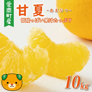 訳あり 甘夏 10kg 甘夏