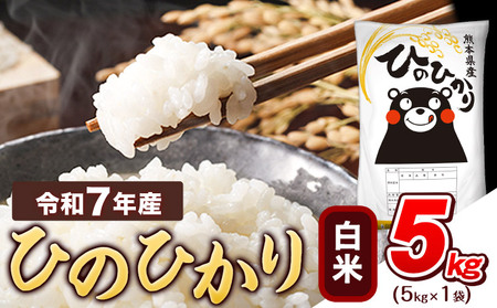 【白米】令和7年産 ひのひかり白米 5kg《7-14日以内に出荷予定(土日祝除く)》