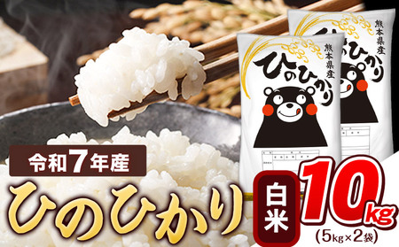 白米 令和7年産 ひのひかり 10kg 米《7-14日以内に出荷予定(土日祝除く)》