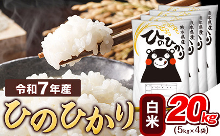  白米令和7年産 ひのひかり 20kg 《7-14日以内に出荷予定(土日祝除く)》