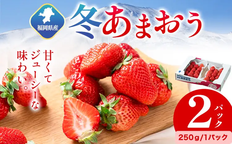 福岡県産 冬あまおう 2パック 南国フルーツ株式会社《12月上旬-1月末頃出荷》福岡県 小竹町 あまおう いちご  送料無料【配送不可地域あり】