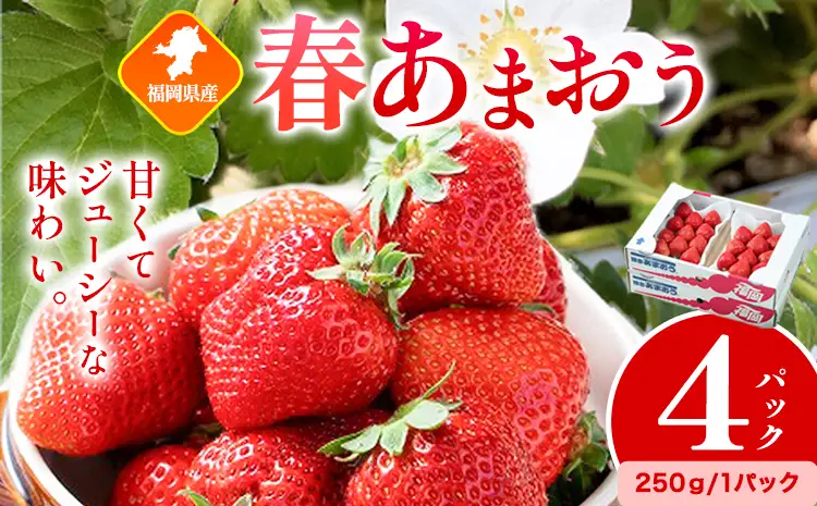 福岡県産 春あまおう 4パック 南国フルーツ株式会社《2月上旬-3月末頃出荷》福岡県 小竹町 あまおう いちご イチゴ 送料無料【配送不可地域あり】