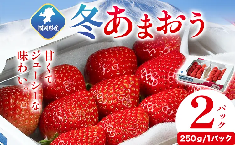 福岡県産 冬あまおう 2パック(250g/1パック) 南国フルーツ株式会社《2026年12月上旬-2027年1月末頃出荷》福岡県 鞍手町 あまおう いちご イチゴ 送料無料【配送不可地域あり】 st-p