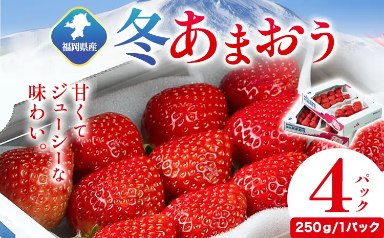 福岡県産 冬あまおう 4パック(250g/1パック) 南国フルーツ株式会社《2026年12月上旬-2027年1月末頃出荷》福岡県 鞍手町 あまおう いちご イチゴ 送料無料【配送不可地域あり】 st-p